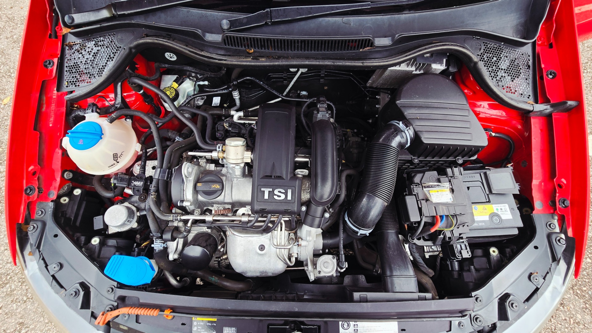 VOLKSWAGEN POLO